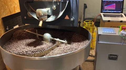 Roasting in action, coffee roaster setup with computer to monitor the Stock Footage 175857931