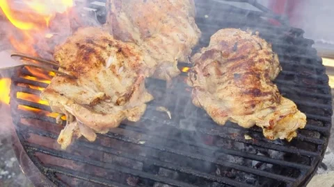 Roasting appetizing pieces of meat on a grill on coals with smoke outdoors Stock Footage 239188845