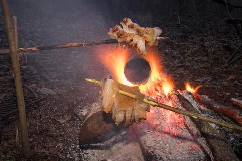 Roasting Bacon Over an Open Campfire in a Forest During Sunset Stock Photos