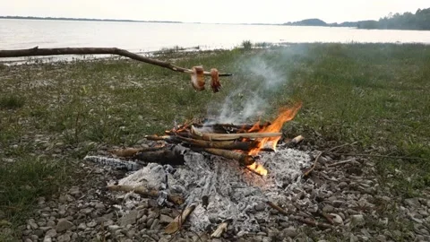 Roasting bacon on a stick in nature Stock Footage 130905826