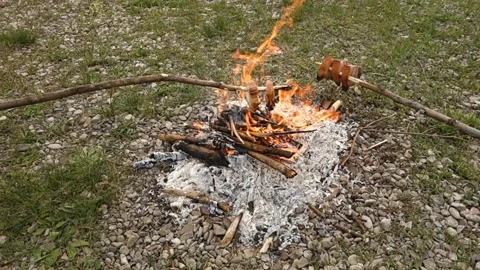 Roasting bacon on a stick in nature Stock Footage 130905885