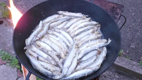 Roasting capelin in a cast iron skillet on the grill Stock Footage 244587003