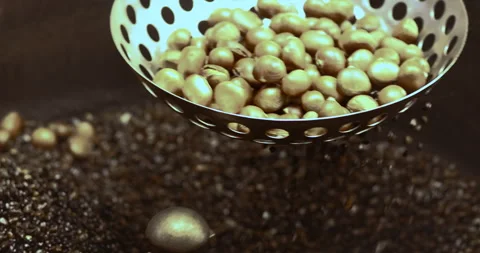 Roasting chestnuts in a hot pan, rolling and heating. Ideal for food Stock Footage 332478918