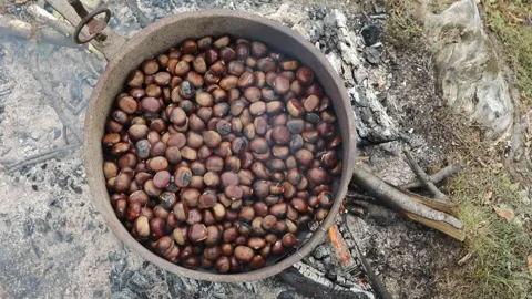 Roasting chestnuts in a large pot over the fire - outdoor Video stock 141196249