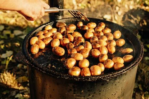 Roasting chestnuts over an open fire during the vibrant and beautiful autumn Foto stock