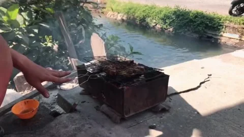 Roasting chicken. Stock Footage 246988508