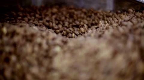 Roasting coffee beans Stock Footage 66463370