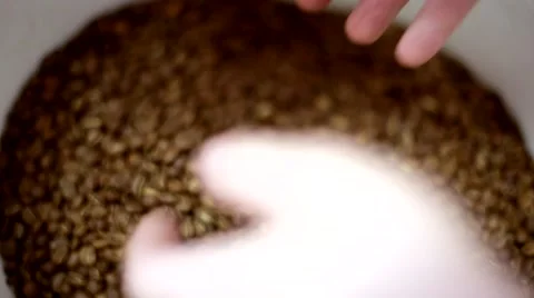 Roasting coffee beans Stock Footage 66463965