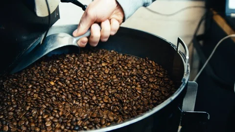 Roasting Coffee Beans Stock Footage 123729834