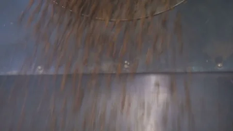 Roasting coffee beans in the oven. Coffee production. Stock Footage 82504696