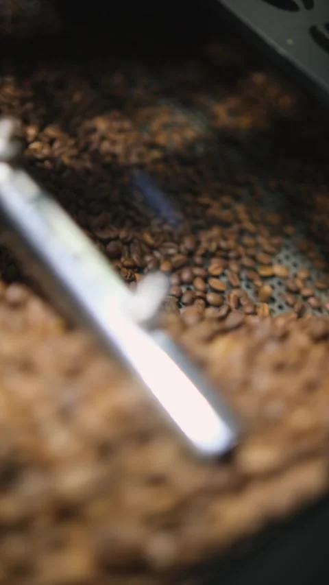 Roasting coffee beans in roastery Stock Footage 310694711