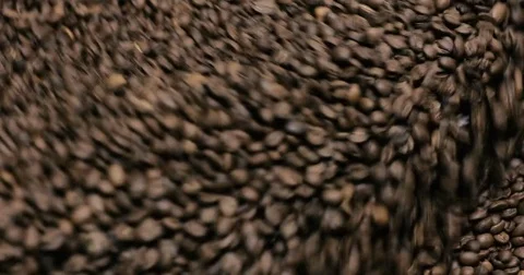 Roasting Coffee Beans Whirling Mixed On Cooling Unit Platform In A Manufactory Stock Footage 77355741