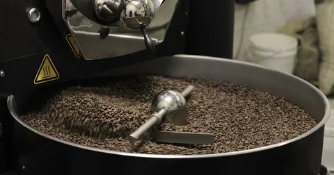 Roasting Coffee Beans Whirling Mixed On Cooling Unit Platform In A Manufactory Stock Footage 77363059
