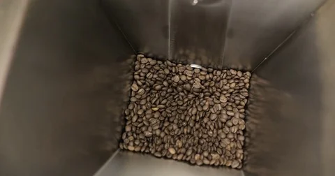 Roasting Coffee Beans Whirling Mixed On Cooling Unit Platform In A Manufactory Stock Footage