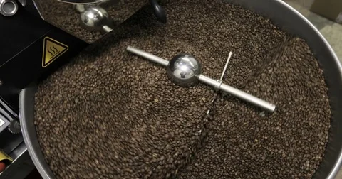 Roasting Coffee Beans Whirling Mixed On Cooling Unit Platform In A Manufactory Stock Footage 77372395