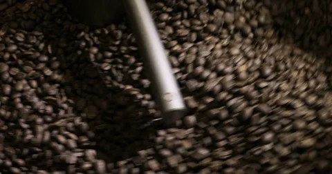 Roasting Coffee Beans Whirling Mixed On Cooling Unit Platform In A Manufactory Video stock 77377115