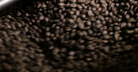 Roasting Coffee Beans Whirling Mixed On Cooling Unit Platform In A Manufactory Stock Footage 77377264