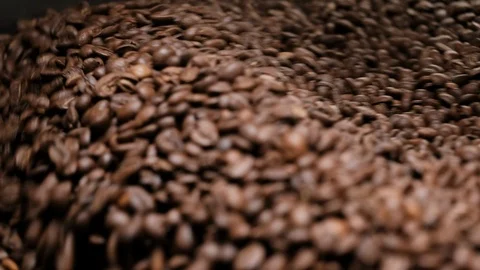 Roasting Coffee Beans Whirling Mixed On Cooling Unit Platform In A Workshop Stock Footage 115881242