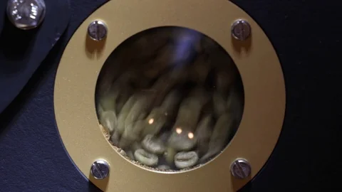 Roasting coffee - the process of mixing the grains during the frying Stock Footage 83689403