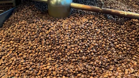 Roasting of coffee seeds. Grinding coffee beans in the machine close-up. Cooking Stock Footage 201825587