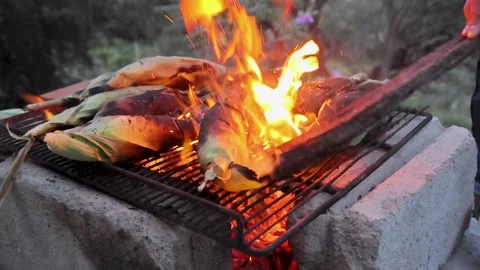 Roasting Corn In Husk Over Open Fire Grill With Flames In Rural Central Stock Footage 345371182