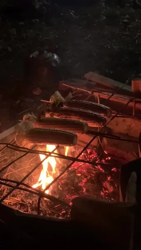 Roasting Corn Over Campfire at Night Stock Footage 340872079