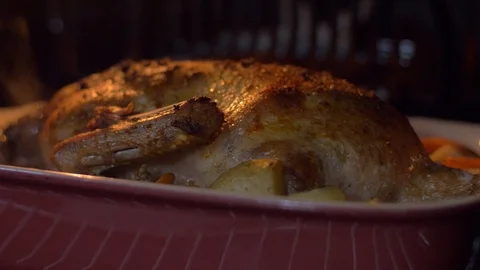 Roasting the duck in the oven Stock Footage 103631288