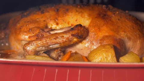 Roasting the duck in the oven. Slow Motion Stockbeeldmateriaal 103631086