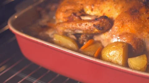 Roasting the duck in the oven. Slow Motion Stock Footage 103631446