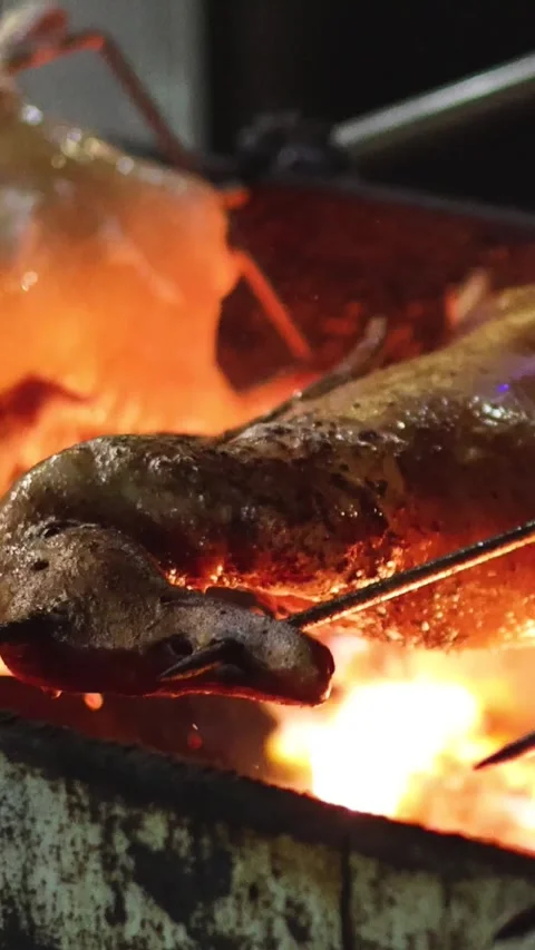 Roasting Ducks at a Night Market 库存影片 304649824