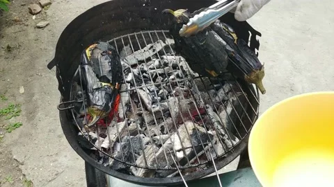 Roasting Eggplants On Grill Stock Footage 130517917
