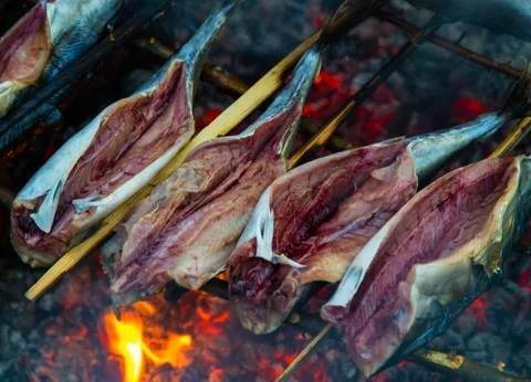 Roasting fish on fire Stock Photos