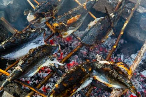 Roasting fish on fire Stock Photos
