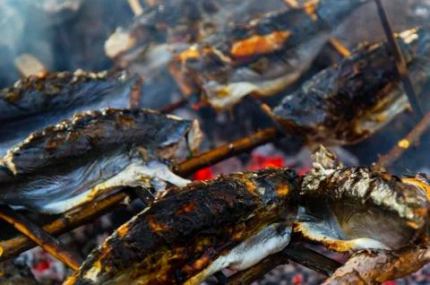 Roasting fish on fire Stock Photos