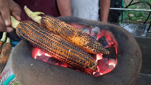 Roasting fresh raw corn over a coal fire Stock Photos