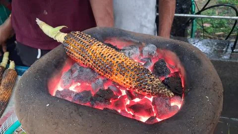 Roasting fresh raw corn over a coal fire Stock Photos