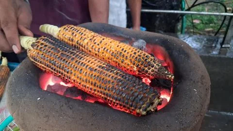 Roasting fresh raw corn over a coal fire Stock Photos