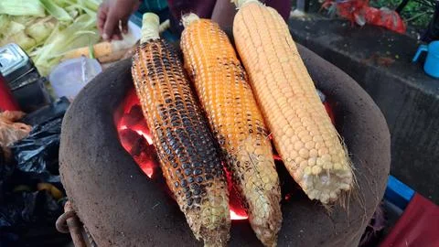 Roasting fresh raw corn over a coal fire Stock Photos