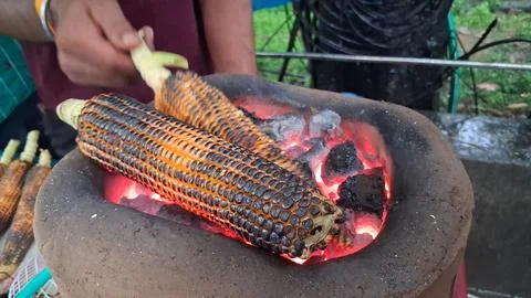 Roasting fresh raw corn over a coal fire Stock Photos