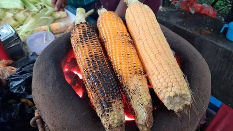 Roasting fresh raw corn over a coal fire Stock Photos
