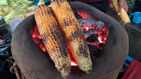 Roasting fresh raw corn over a coal fire Stock Photos