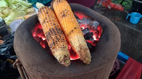 Roasting fresh raw corn over a coal fire Stock Photos