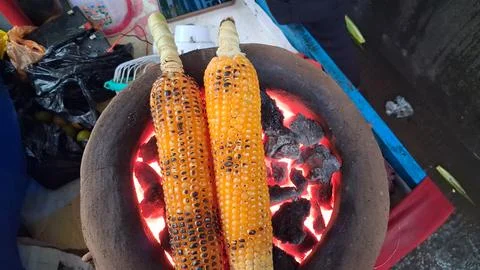 Roasting fresh raw corn over a coal fire Stock Photos