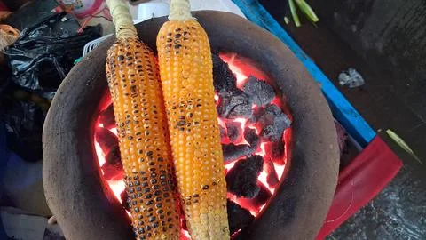 Roasting fresh raw corn over a coal fire Stock Photos