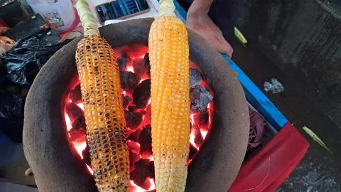 Roasting fresh raw corn over a coal fire Stock Photos