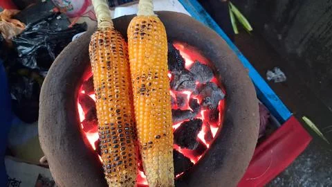 Roasting fresh raw corn over a coal fire Stock Photos