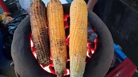 Roasting fresh raw corn over a coal fire Stock Photos