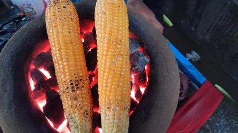 Roasting fresh raw corn over a coal fire Stock Photos