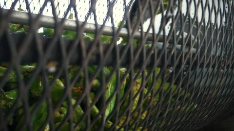 Roasting Green Chile Stock Footage 139786442