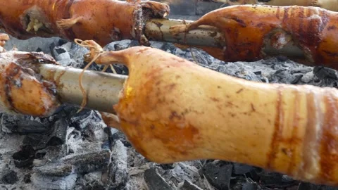 Roasting guinea pigs on a spit over hot coals Stock Footage 310191823